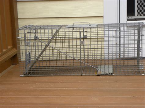 Rent or purchase a humane cat trap at your local hardware or pet store; 8 Steps to Trap, Neuter, and Return Feral Cats - Catster