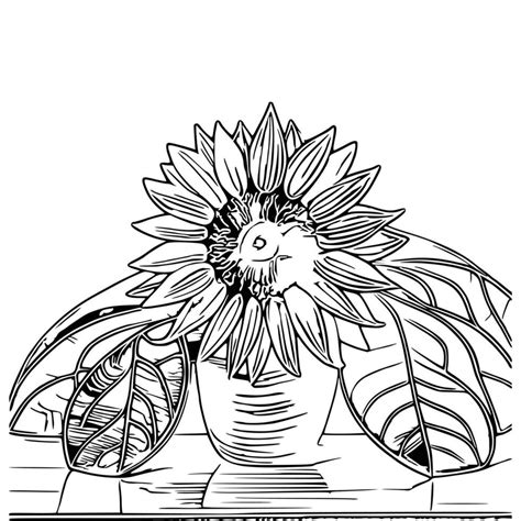 Line Art Sunflower Vector 25790273 Vector Art At Vecteezy