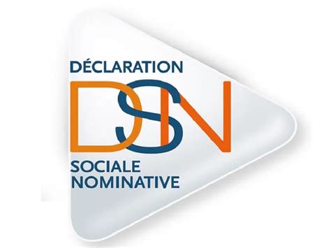 Tout Savoir Sur La D Claration Sociale Nominative Blog Du Net