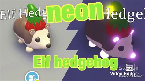 Neon Elf Hedgehog With New Tricks Roblox Adopt Me Youtube