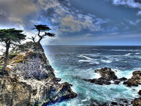 Lone Cypress Wallpapers Wallpaper Cave