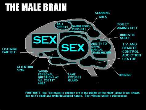 Sex And The Male Brain Busty Naked Milf