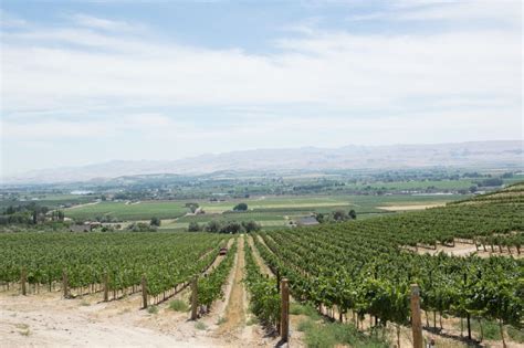 Four Reasons To Visit Idaho Wine Country Daves Travel Corner