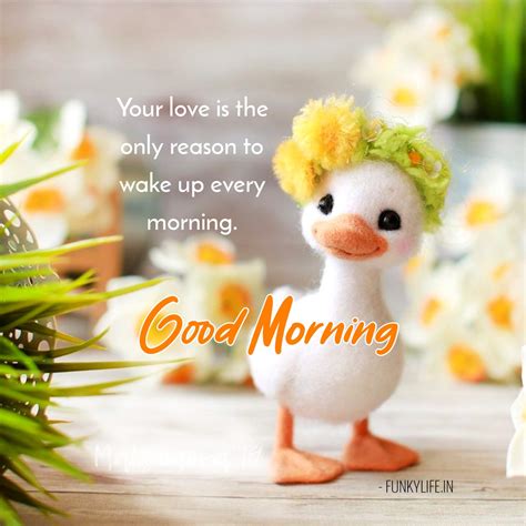 Good Morning Quotes Homecare24