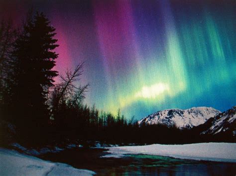 See The Northern Lights Alaska Northern Lights Northern Lights