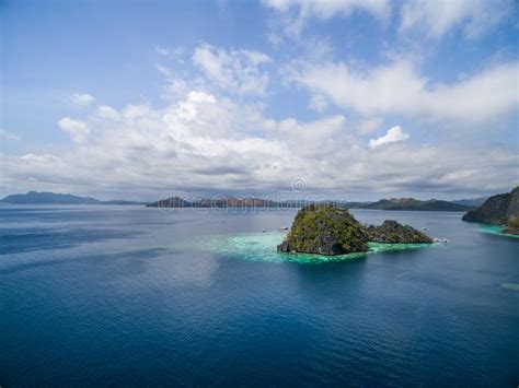 Malwawey Coral Garden In Coron Palawan Philippines