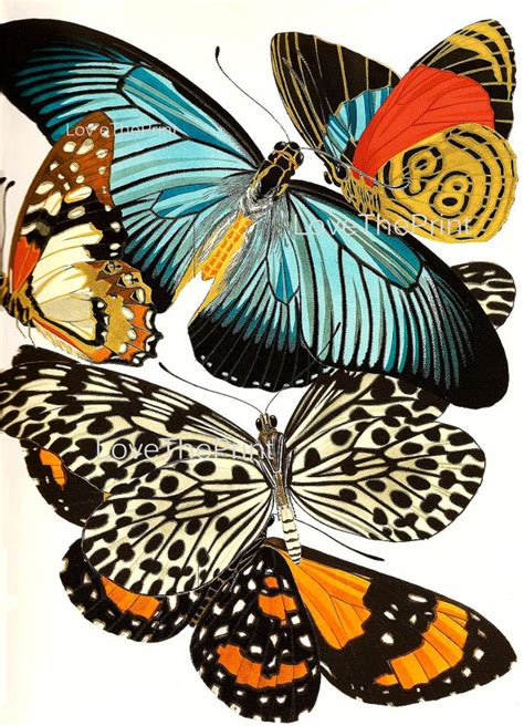 Butterfly Print Botanical Art Print 14 Beautiful Blue Green Etsy