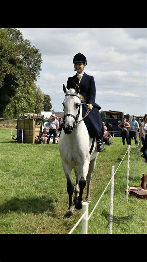 Pin By Emily Pearson On Side Saddle Side Saddle Riding Fox Hunting