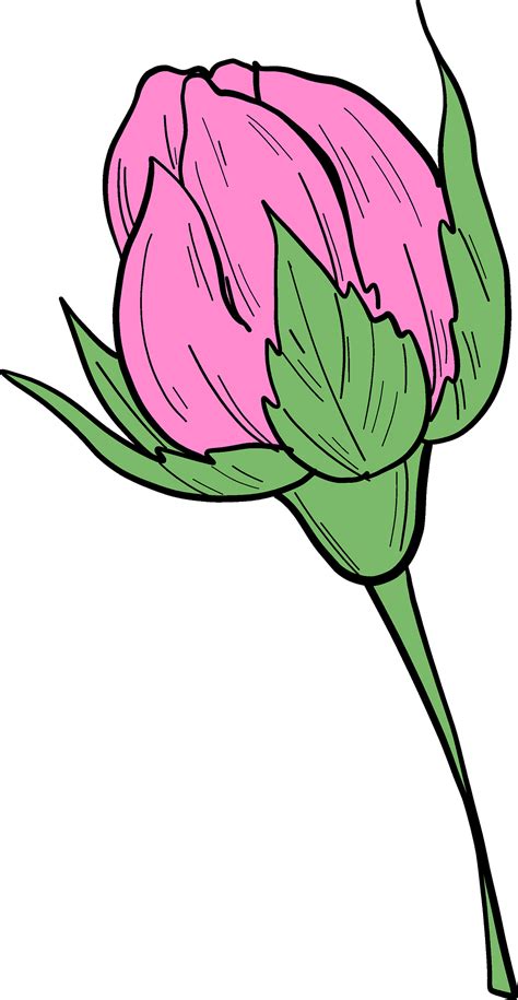 Stem Red Rose Bud Png Clipart Rose Buds Clip Art Free Clip Art Library