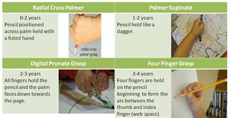 Pencil Grasp Reference Cheat Sheet - NCLEX Quiz