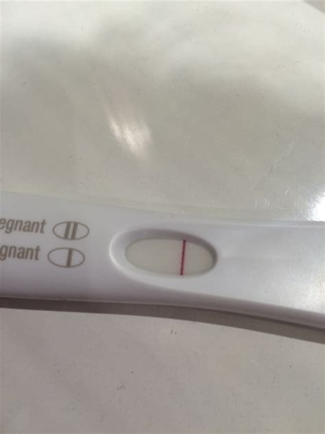 2 Days Late And Still Negative Pregnancy Test Pregnancywalls