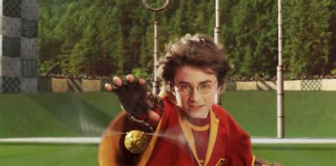 Will the online shop ship internationally? A Deep Dive into Harry Potter's Quidditch Career | by ...