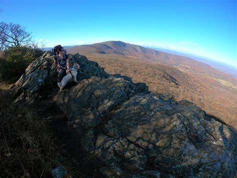 A Guide To Shenandoah National Park Wandering With A Dromomaniac
