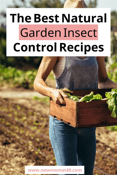 In a startup pest control company, the owners are right there. Pin on Home Organization and Decor