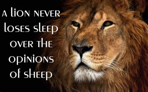 A Lion Never Loses Sleep Over The Opinions Of Sheep Inspiring