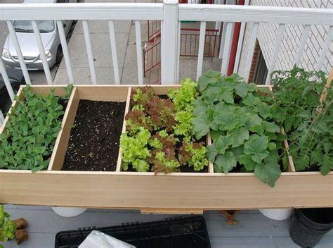 Diy Healthy And Organic Vegetable Container Garden The