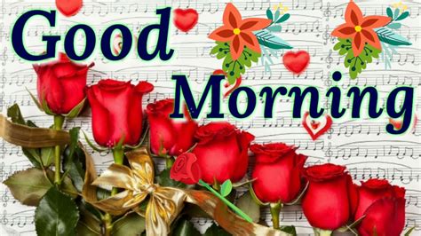 Flowers morning pictures are the very best approach to wish somebody an extremely great morning. Good morning video - Beautiful & sweet whatsapp video ...