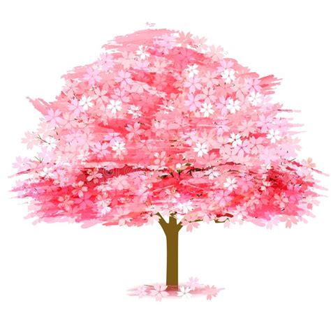 Cherry Blossom Illustration Stock Vector Illustration Of Season