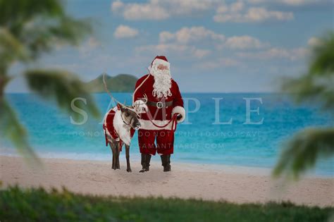 Santa And His Reindeer On The Beach Digital Background I Etsy Hong Kong