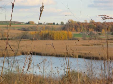 Horicon Marsh Through Grass And Seed Dan From Flickr