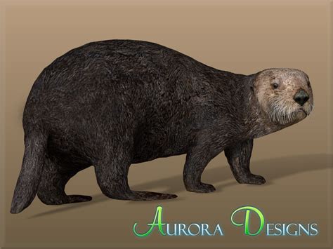 Sea Otter Aurora Designs Zt2 Download Library Wiki Fandom Powered
