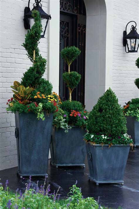 Create Fall Containers With Evergreen Backbones—planting Plans
