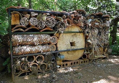 If you cannot locate the dead rodent, it may take several weeks for the. Provide a home to pollinators and pest controllers. Tidy ...