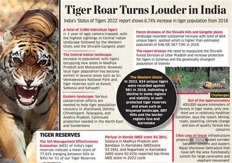 India Tiger Population News Indias Tiger Population Was 3167 In 2022