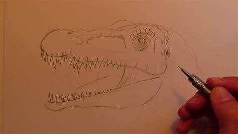 How To Draw A Baryonyx Head From Jurassic World Fallen Kingdom