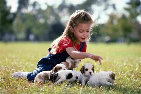 Toddler fun learning presents lots of toddler learning videos with puppy park. How to Train Your Dog to Be Kid Friendly