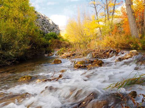 Picture Autumn Nature Stone Rivers Trees 1600x1200