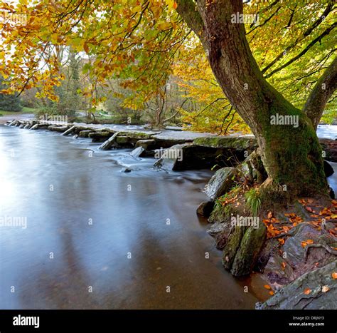 Autumn At Tarr Steps On The River Barle Exmoor National Park Somerset