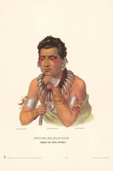 Chief Of The Ioways Posters Charles Bird King