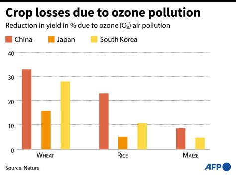 Ozone Pollution Costs Asia Billions In Lost Crops Study