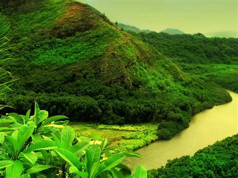 Tropical Mountain Wallpapers Top Free Tropical Mountain Backgrounds