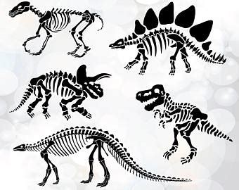 Check spelling or type a new query. Dinosaur Skeleton Drawing at GetDrawings | Free download