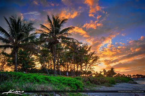Sunset Over Palm Trees Jupiter Ocean Park