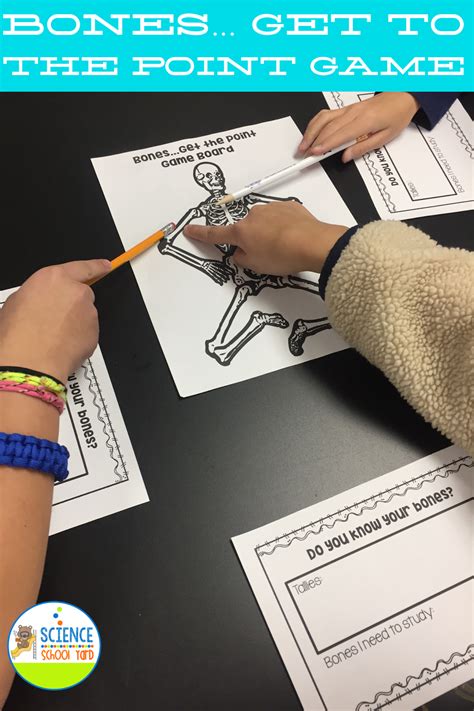 6 Skeletal System Game Ideas For Studying Bones The Science School Yard