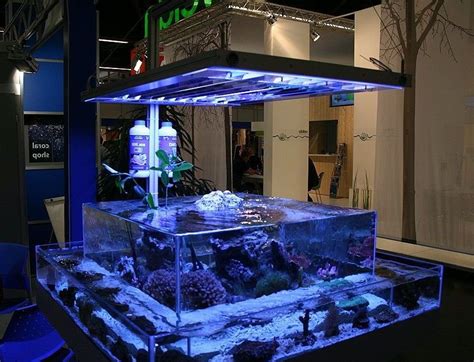 Custom Fish Tanks ⋆ Bear Glass Blog
