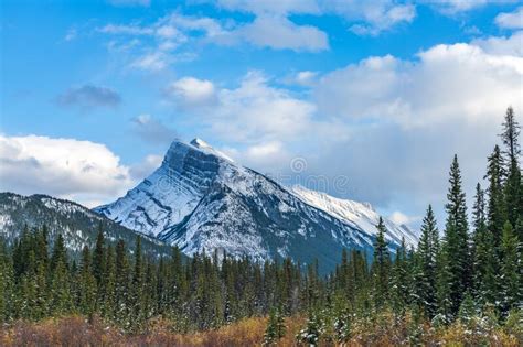 Snow Covered Mount Rundle With Snowy Forest Banff National Park