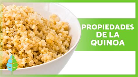 BENEFICIOS de la QUINOA para la salud PROPIEDADES Para qué Sirve y Cómo TOMARLA YouTube