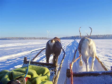 Levi Travel Lapland Finland Lonely Planet