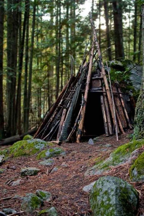 Building Shelter Six Basic Wilderness Survival Skills Wilderness