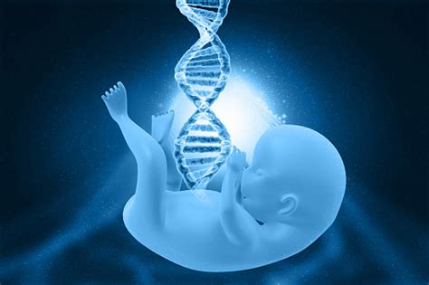 Fetus Anatomy With Dna Stock Photo Download Image Now Child Dna