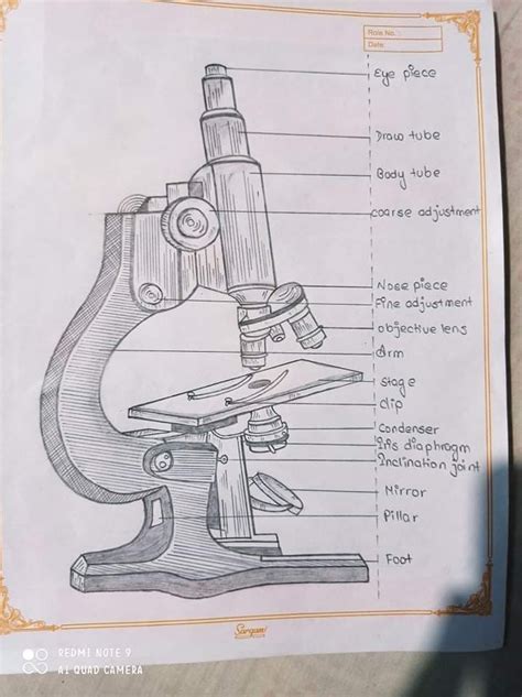 Share Microscope Sketch Diagram Latest Seven Edu Vn