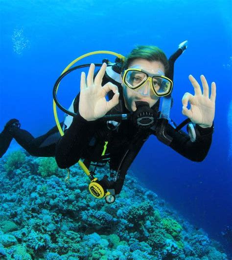 2 Tank Scuba Diving In St Thomas Us Virgin Islands Diving Diving