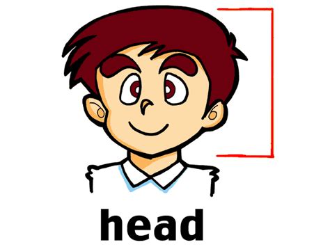 Body Clipart Head Body Head Transparent Free For Download On