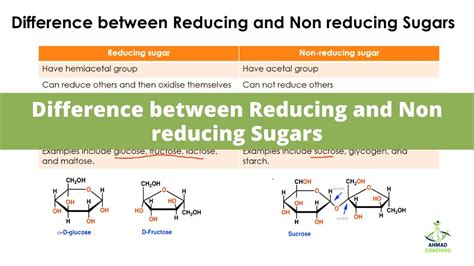 Difference Between Reducing And Non Reducing Sugars Youtube