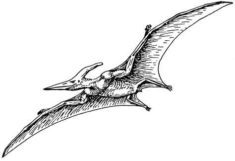 You can use our amazing online tool to color and edit the following pterodactyl coloring pages. File:Pterodactyl 2 (PSF).png - Wikimedia Commons