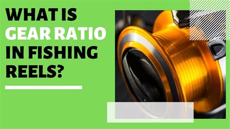 What Is Gear Ratio In Fishing Reels Explained YouTube